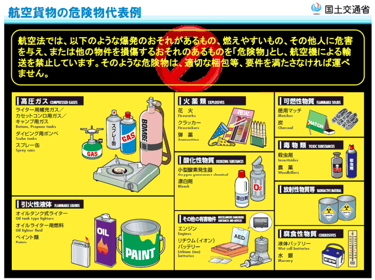 アイベックスエアラインズ Ibex 国内線の往復 片道航空券の予約サイト 格安航空券センター