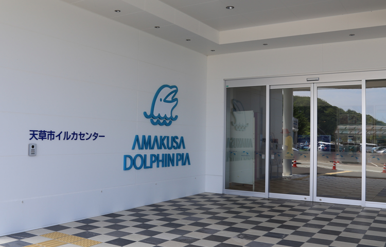 天草市イルカセンター