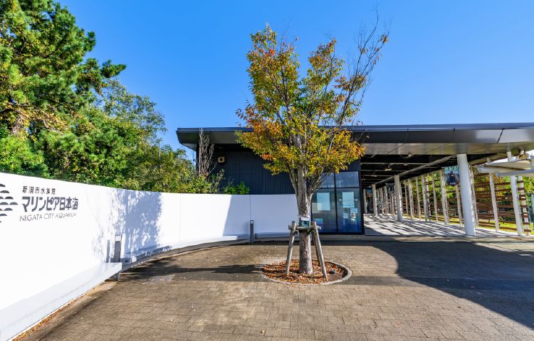 新潟市水族館マリンピア日本海