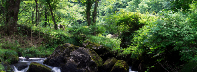 風景