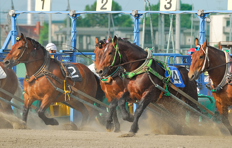 帯広競馬場