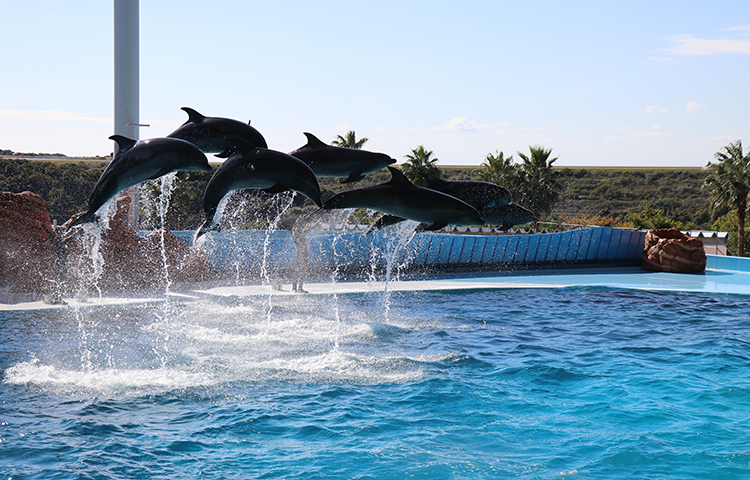 アドベンチャーワールド