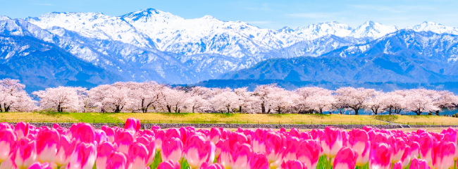 風景