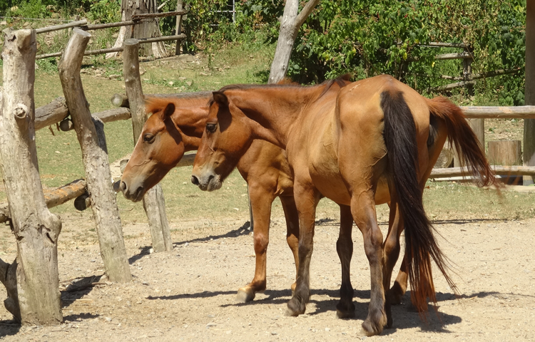 あそうベイパーク