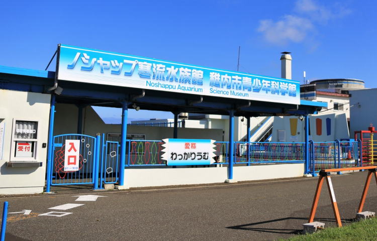 ノシャップ寒流水族館