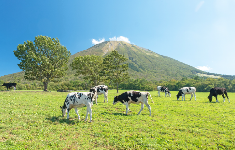 大山まきばみるくの里