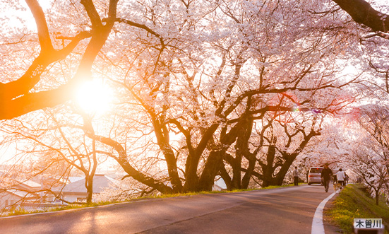愛知県のドライブコース2