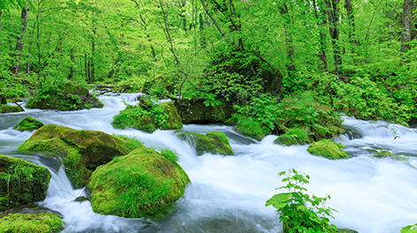 青森県の観光スポット4