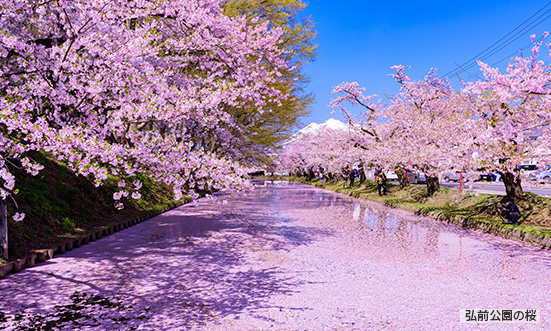 青森県のドライブコース1