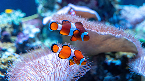 千葉県の観光スポット4