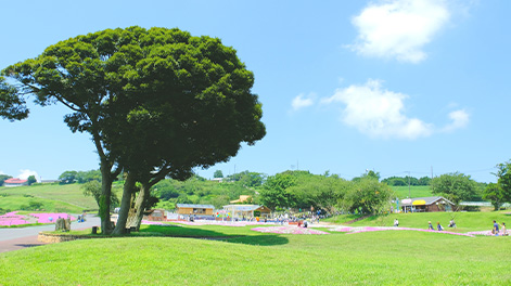 千葉県の観光スポット5