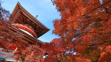 千葉県の観光スポット6