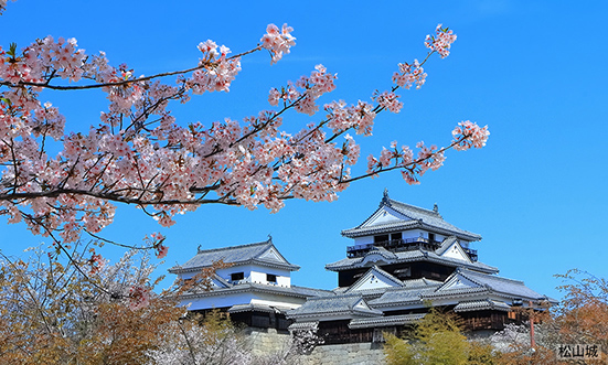 愛媛県のドライブコース3