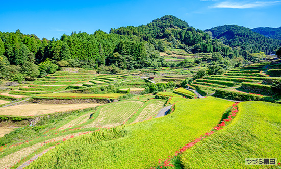 福岡県のドライブコース3