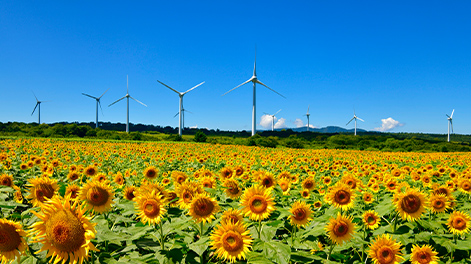 福島県の観光スポット2