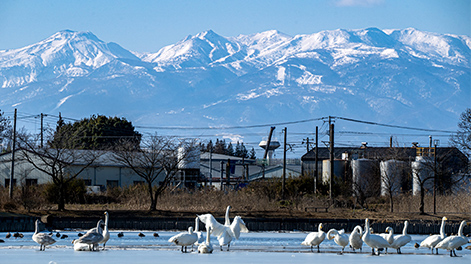 福島県の観光スポット3