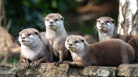 福島県の観光スポット7