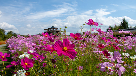 広島県の観光スポット4