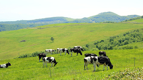北海道の観光スポット5
