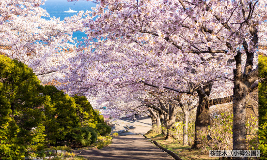 北海道のドライブコース1