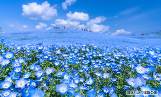 茨城県のドライブコース2