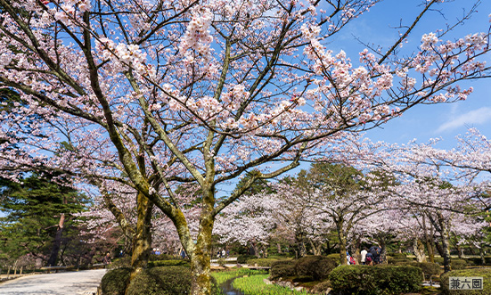 石川県のドライブコース1