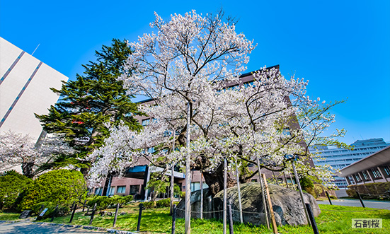 岩手のドライブコース1