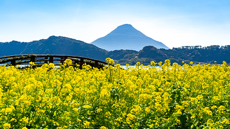 鹿児島県の観光スポット2