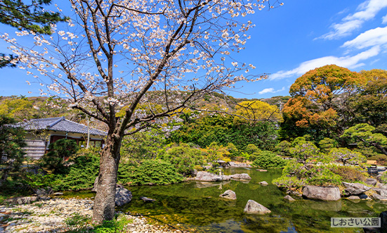 神奈川県のドライブコース3