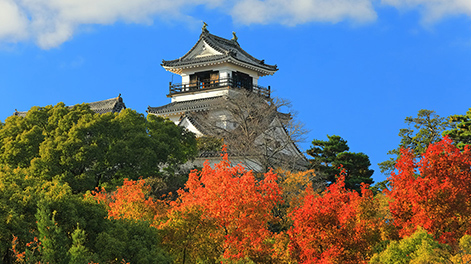 高知県の観光スポット1