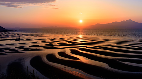 熊本県の観光スポット3