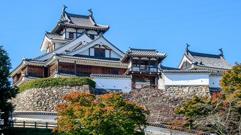 京都府の観光スポット2