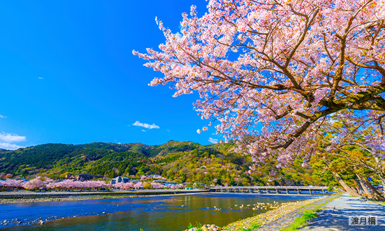 京都府のドライブコース1
