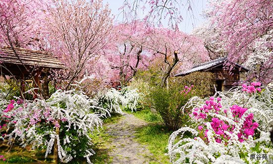 京都府のドライブコース3