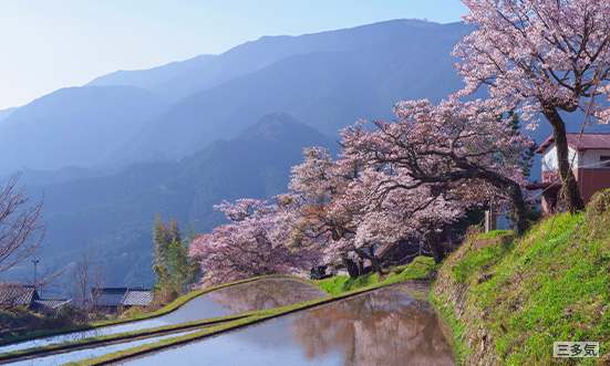 三重県のドライブコース1
