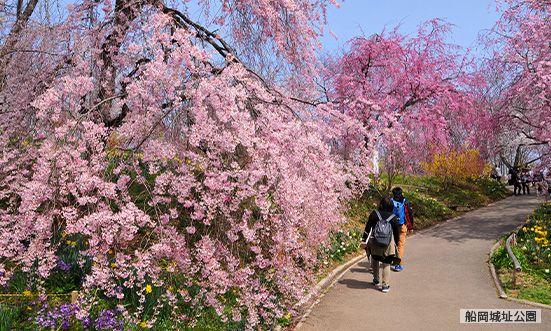 宮城県のドライブコース2