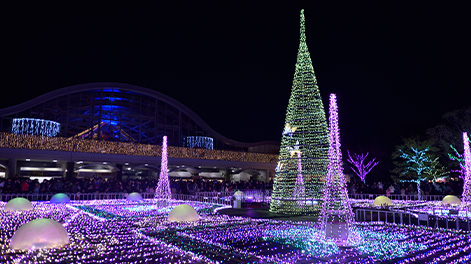 宮崎県の観光スポット2