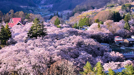 長野県の観光スポット6