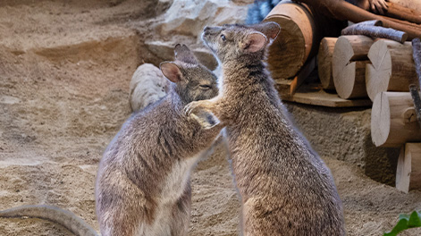 大阪府の観光スポット6
