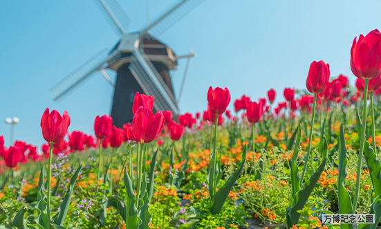 大阪府のドライブコース3