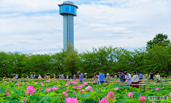 埼玉県のドライブコース2