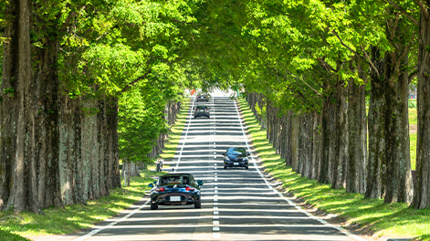 滋賀県の観光スポット7