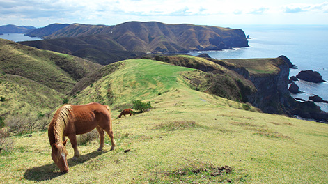 島根県の観光スポット4