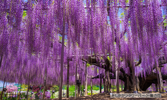 栃木県のドライブコース3