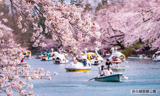 東京都のドライブコース1