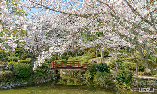 鳥取県のドライブコース2