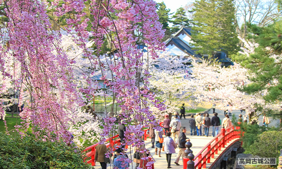 富山県のドライブコース1