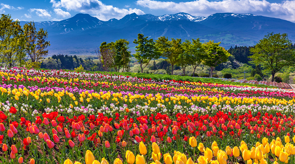 那須フラワーワールド