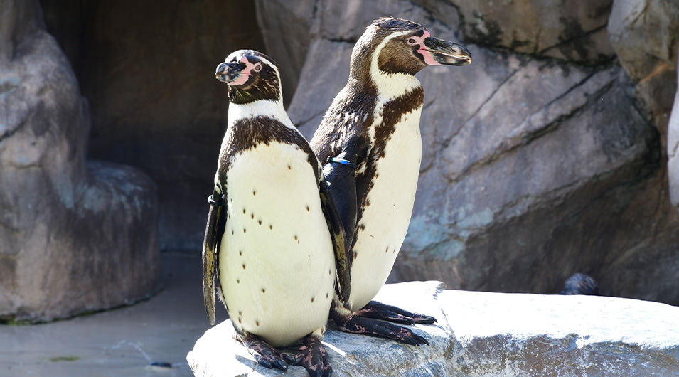マリンピア日本海