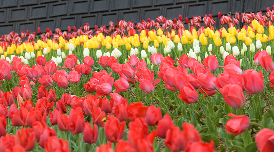 サンテパルクたはら